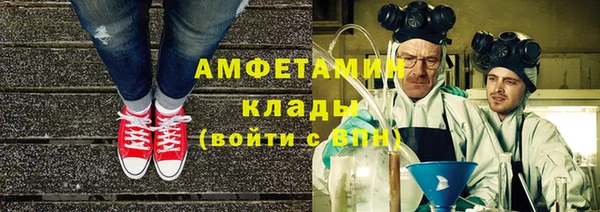 PSILOCYBIN Белокуриха