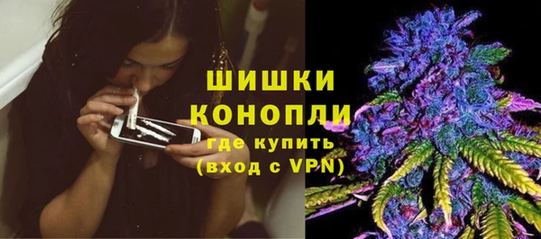 PSILOCYBIN Белокуриха
