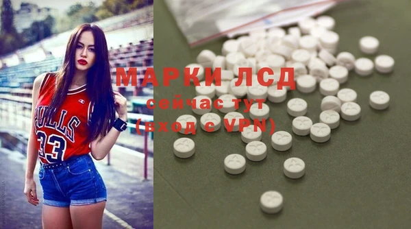 PSILOCYBIN Белокуриха