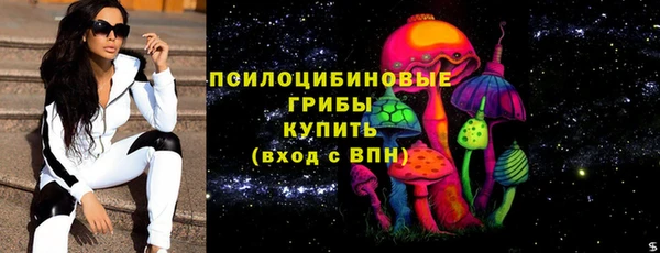 PSILOCYBIN Белокуриха